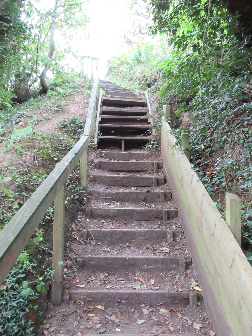 CinderTrack, Prospect Hill steps