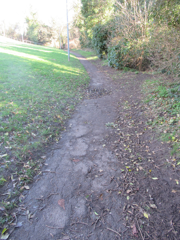 Stakesby Vale Beck Path, muddy narrow path